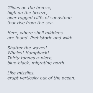 
Glides on the breeze,
high on the breeze,
over rugged cliffs of sandstone
that rise from the sea.

Here, where shell middens
are found. Prehistoric and wild!

Shatter the waves!
Whales! Humpback! 
Thirty tonnes a-piece,
blue-black, migrating north.

Like missiles, 
erupt vertically out of the ocean.
