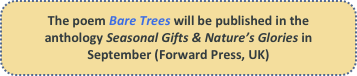 The poem Bare Trees will be published in the anthology Seasonal Gifts & Nature’s Glories in September (Forward Press, UK)