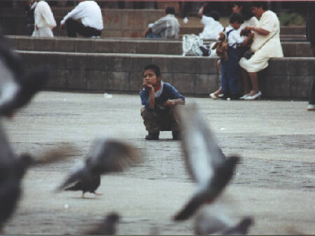 Shoeshine boy watching pigeons