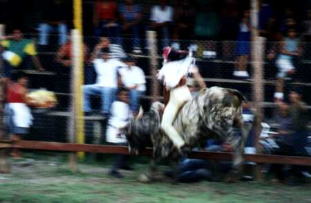 Riding the bucking bull