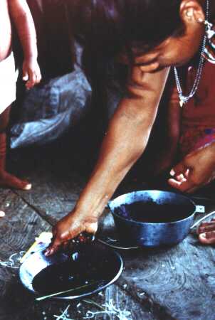 Squeezing the black ink from the jagua pulp