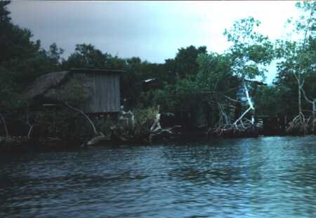 Shack on the water-front