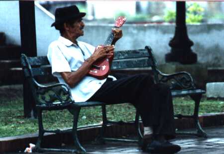 Man playing ukelele