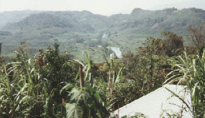 Agua Azul from the main road