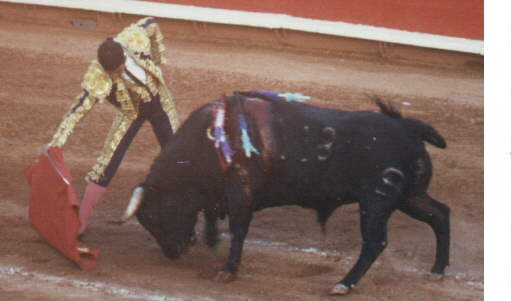Round three - skewering the bull
