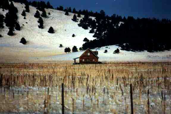 Little cottage in the middle of a field